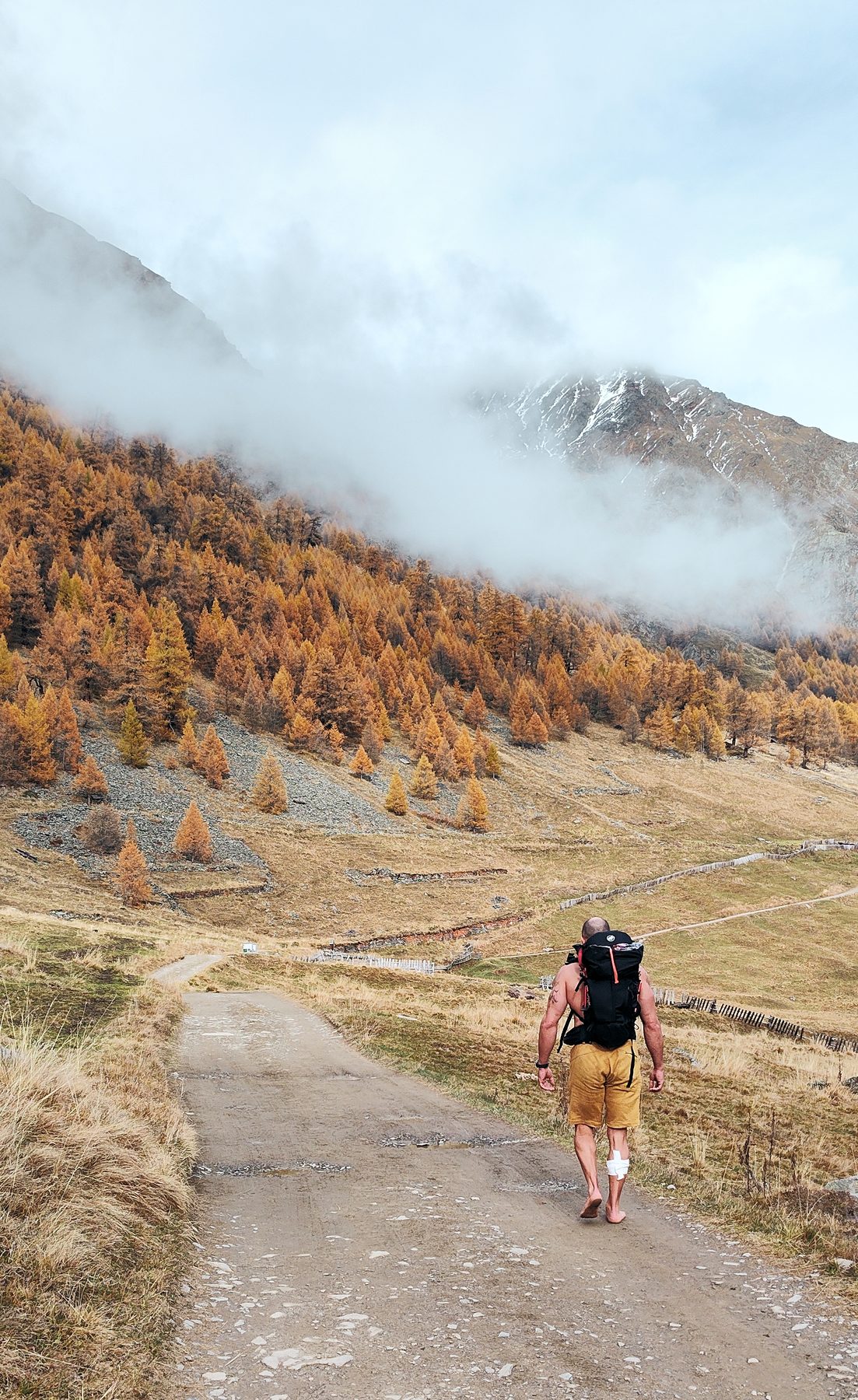 Sentiero di montagna tra vegetazione autunnale e nebbia durante una sessione B.A.M.